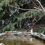 photo 2023-03-22 15-56-46