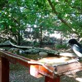 photo 2022-06-01 16-40-04