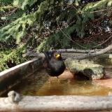 photo 2023-03-13 15-24-40