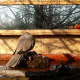 photo 2022-02-11 09-18-12