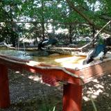 photo 2022-07-21 16-09-42