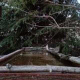 photo 2023-03-18 18-00-16