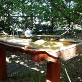 photo 2022-07-21 15-19-59