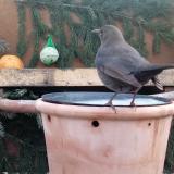 photo 2024-01-14 08-26-37