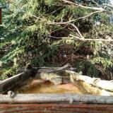 photo 2023-03-13 15-23-37