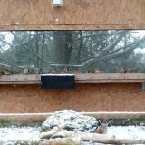 photo 2023-12-05 09-13-50