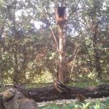 photo 2024-09-30 12-28-19