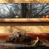 photo 2022-02-11 10-44-03