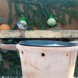 photo 2024-01-21 08-06-26