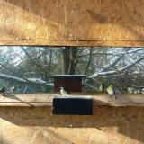 photo 2022-12-12 11-47-32