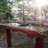 photo 2022-07-28 06-22-39