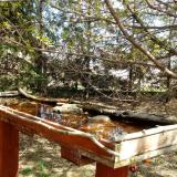 photo 2022-04-06 12-35-35