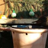 photo 2024-01-11 13-16-16