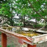 photo 2022-04-30 13-43-48