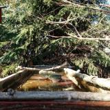 photo 2023-03-13 14-58-13