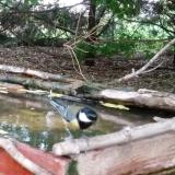 photo 2022-05-06 19-24-34 szencinege