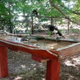 photo 2022-06-29 11-31-55