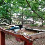 photo 2022-05-29 08-27-01