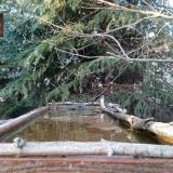 photo 2023-03-18 16-52-14