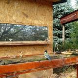 photo 2022-10-27 12-02-01