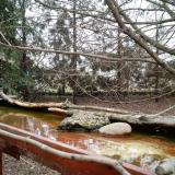 photo 2022-02-20 12-57-22