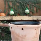 photo 2024-01-23 10-49-53