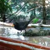 photo 2022-06-20 18-59-28 rigo