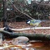 photo 2022-10-24 08-45-14