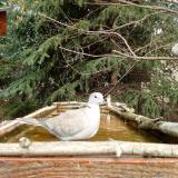 photo 2023-03-20 11-37-31