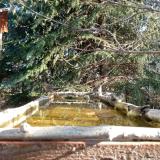 photo 2023-03-22 07-57-34