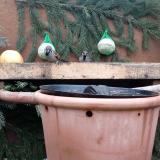 photo 2024-01-07 09-12-40