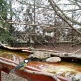 photo 2022-02-20 13-16-57