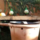 photo 2024-01-02 10-53-42