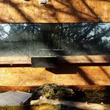 photo 2023-12-04 09-20-05