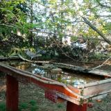 photo 2022-04-12 17-59-51