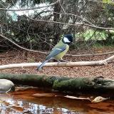 photo 2022-10-24 13-33-46