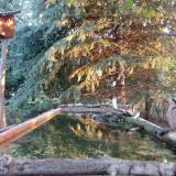 photo 2023-09-28 07-04-52