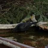 photo 2022-02-17 13-47-03 rigo