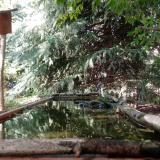 photo 2023-08-08 16-47-19