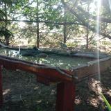 photo 2022-07-10 07-20-57