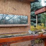 photo 2022-11-17 11-53-50