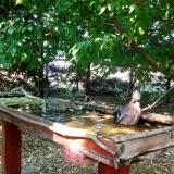 photo 2022-05-12 16-26-12