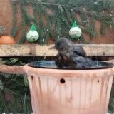 photo 2024-01-24 09-13-28