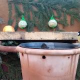 photo 2023-12-28 08-54-37