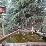 photo 2023-04-08 16-51-16