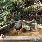 photo 2023-03-13 15-24-46