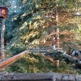 photo 2023-09-29 07-22-42