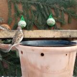 photo 2024-01-23 10-51-03