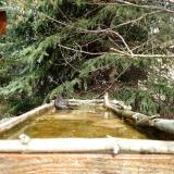 photo 2023-03-20 12-07-20