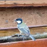 photo 2022-11-23 11-49-32